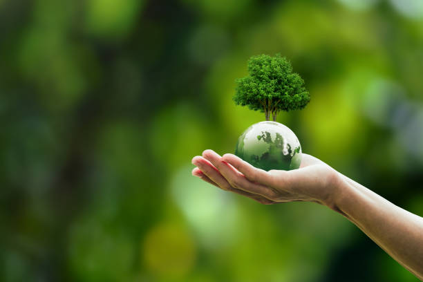 Reduce, Reuse, Recycle